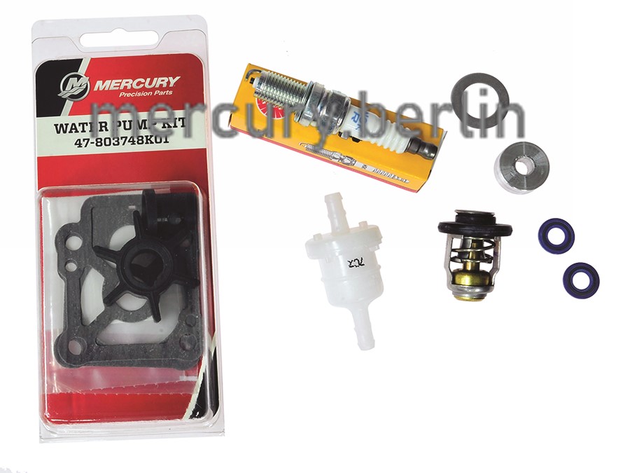 Artikel Bild: 300h Service Kit 8/9.9PS (Motoren mit Standard Getriebe ab Seriennummer: 0R042475 und höher)