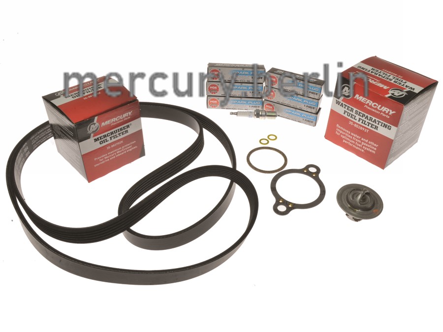 Artikel Bild: 300h Service Kit 4.3L Vergaser-Motoren mit Ölfilter am Block, mit Standardkühlung (ab 1996 und neuer), ALPHA